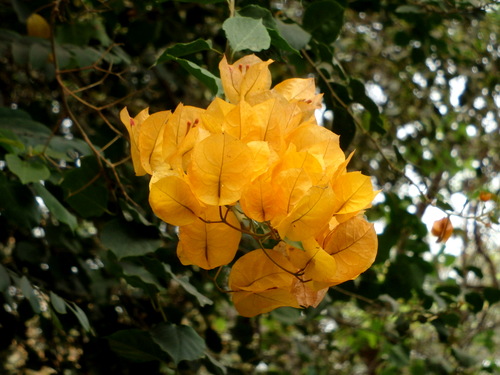 Jardín Botánico.